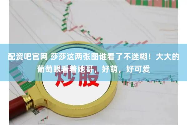 配资吧官网 莎莎这两张图谁看了不迷糊！大大的葡萄眼看着她哥，好萌，好可爱